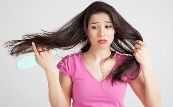 Ly do da dau nhieu gau hon trong mua he hinh anh