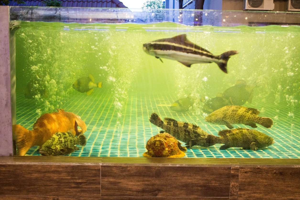 quán hải sản ngon ở Sài Gòn ảnh 1 quan hai san ngon o Sai Gon anh 1