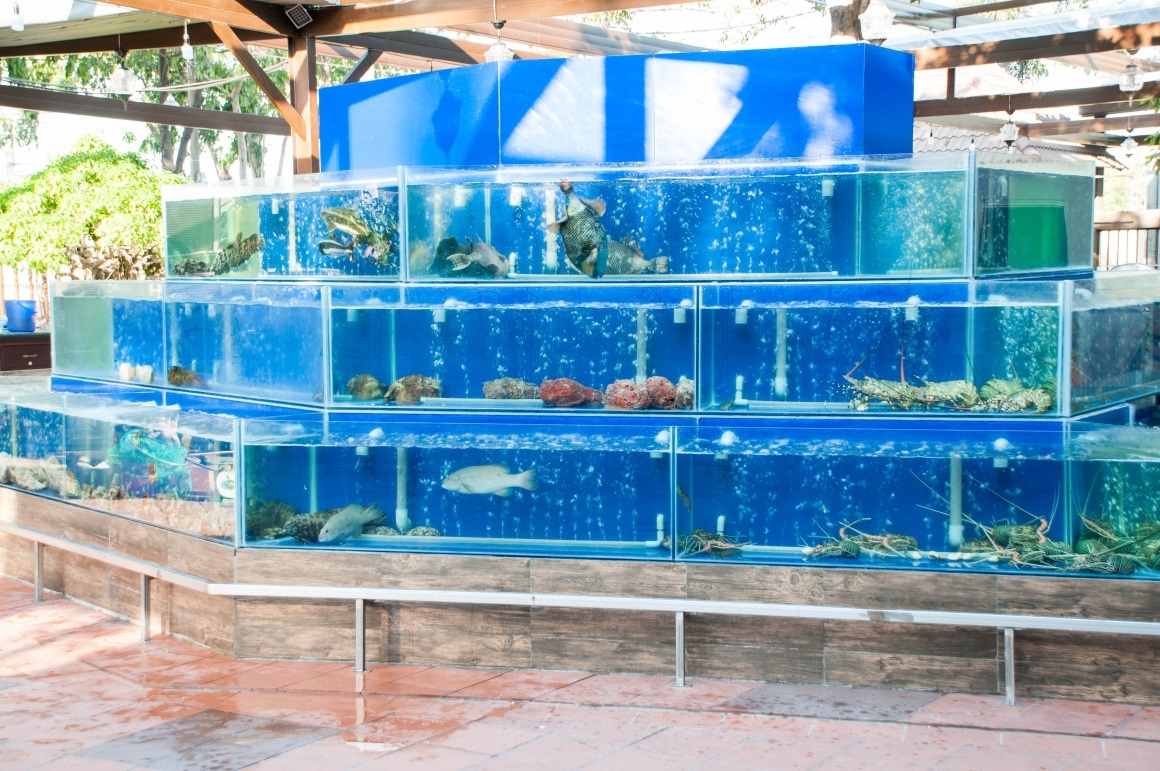 quán hải sản ngon ở Sài Gòn ảnh 3 quan hai san ngon o Sai Gon anh 3