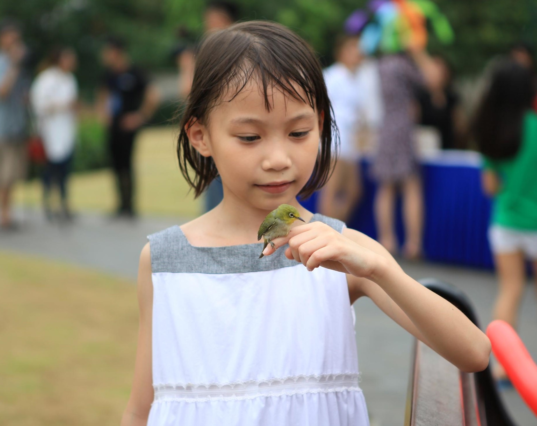 Le tha 2.600 chim phong sinh tai Vinhomes Riverside hinh anh