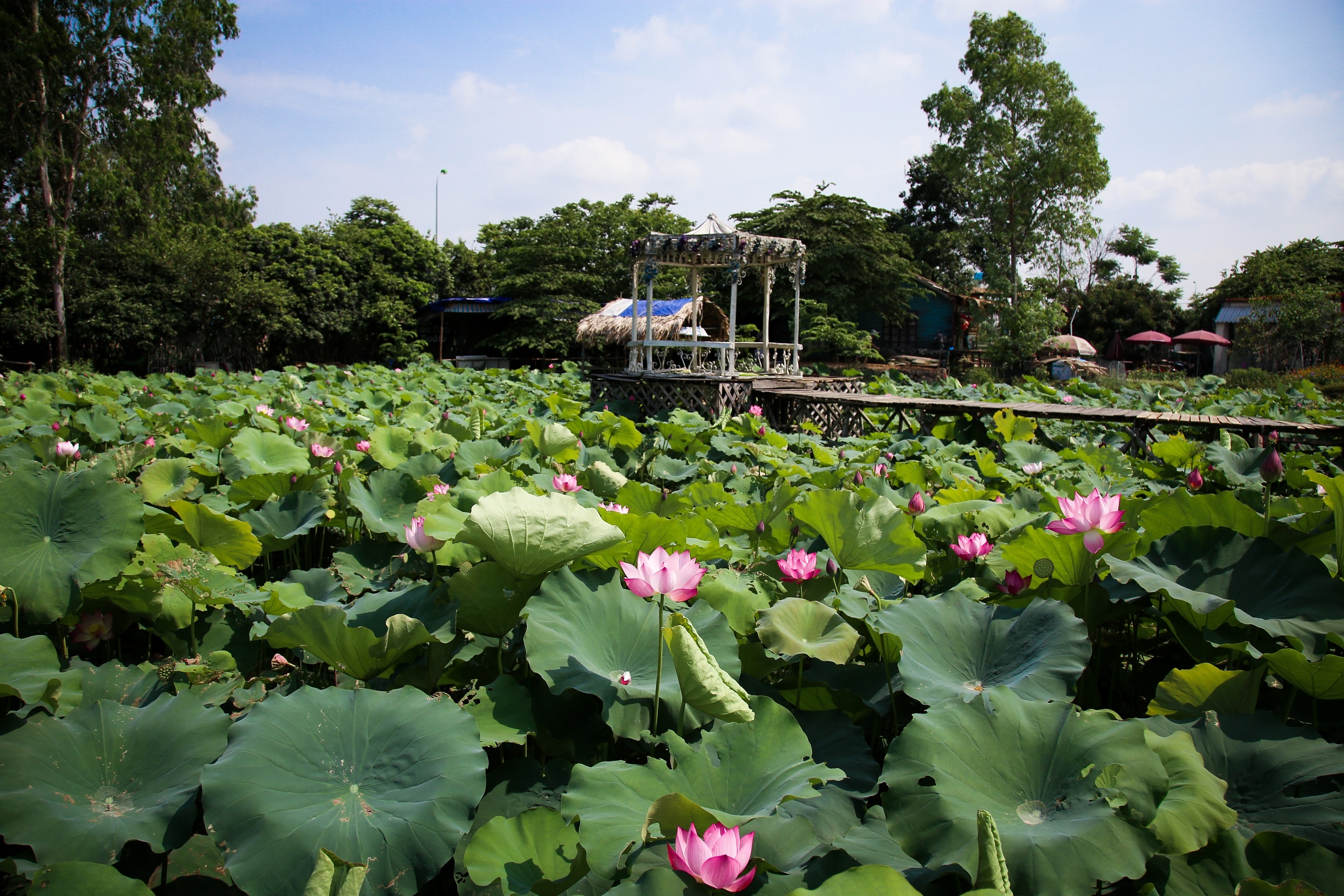 ghe Vuon Quan de tro ve lang que anh 6