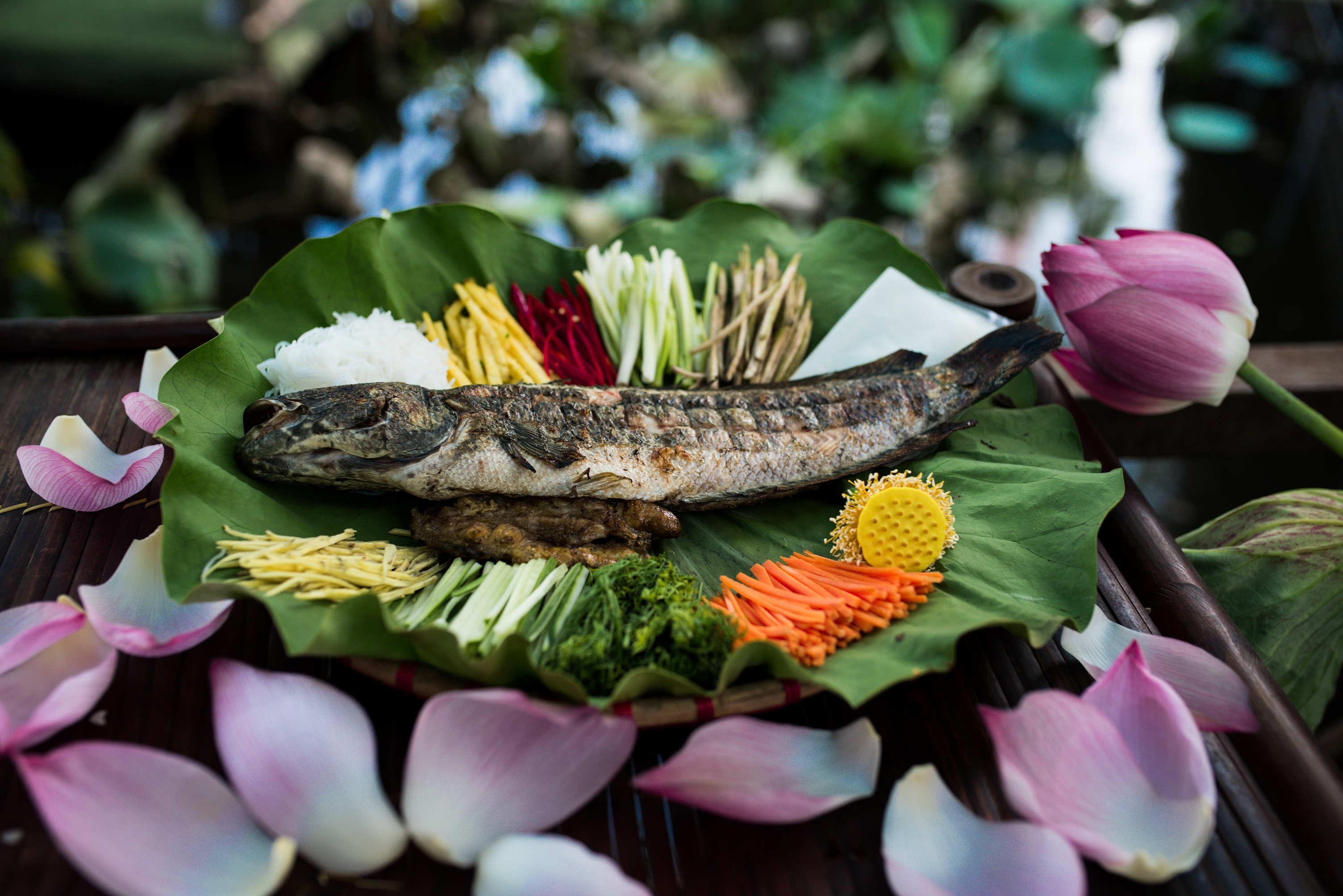 Vuon quan: Dau an que nha trong long Ha Noi hinh anh