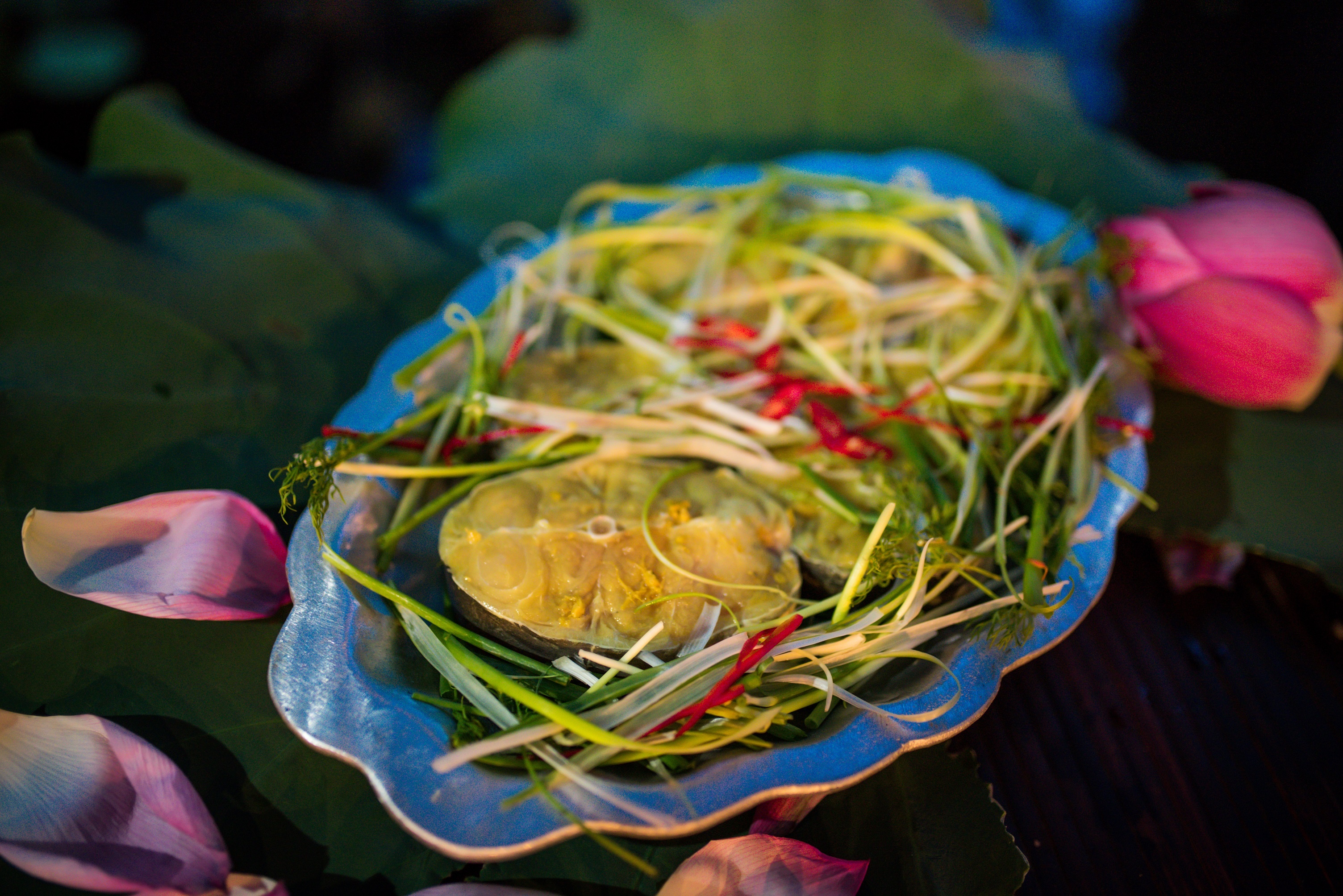 ghe Vuon Quan de tro ve lang que anh 5