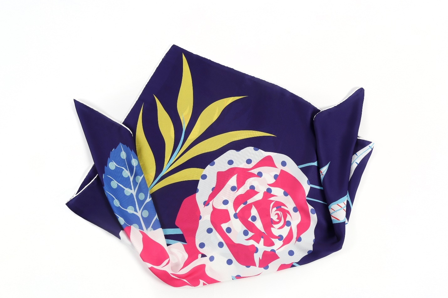 cam tac hoa hong anh 1