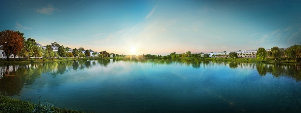 biet thu,  nha pho tai khu Dong TP HCM anh 3