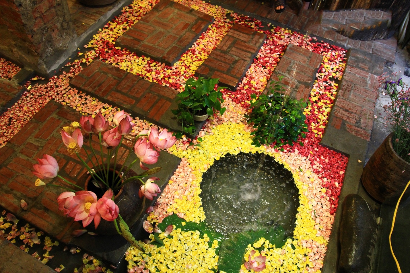 Quan Moc,  bo to anh 3