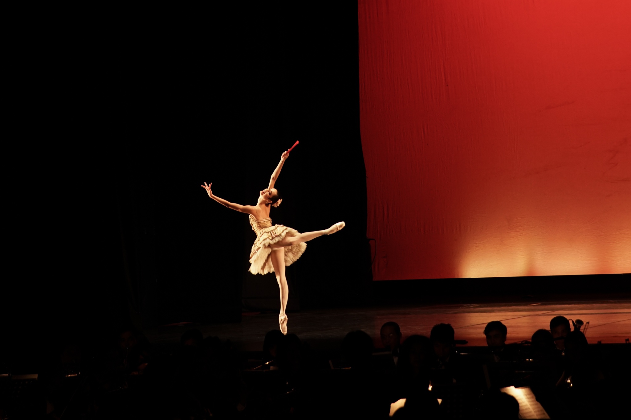 dem nghe thuat Paris Ballet anh 1