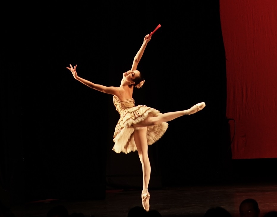 Paris Ballet: Dem nghe thuat cua tinh yeu thang hoa hinh anh