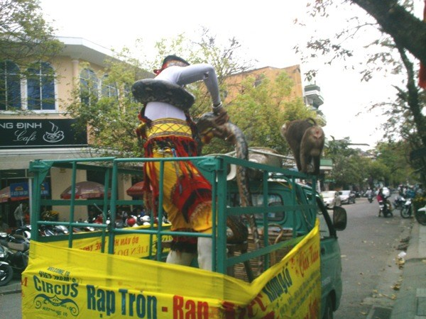 nhung chiec xe gan voi ky niem mua he anh 3