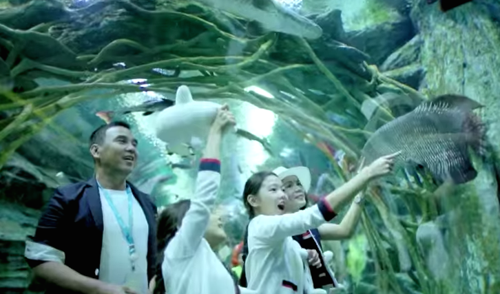 Kham pha Han Quoc cung gia dinh MC Quyen Linh hinh anh