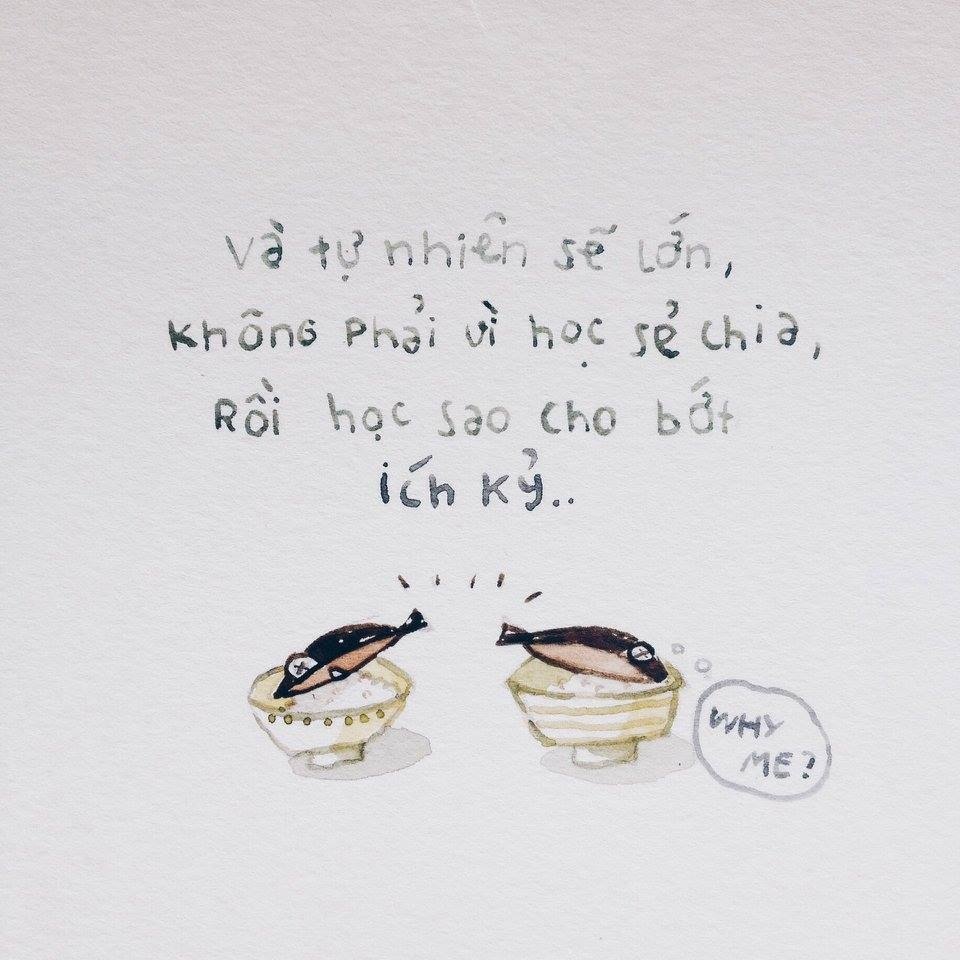 Nhà là nơi ảnh 4 Nha la noi anh 4