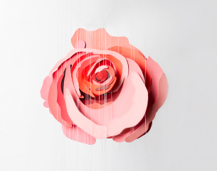 Nhung diem doc dao cua cuoc thi Cam tac hoa hong Takashimaya hinh anh