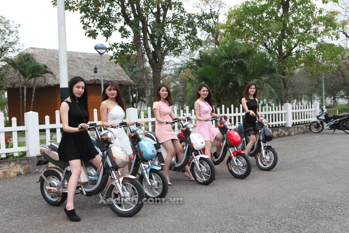 xe đạp điện Ninja Dibao Eco ảnh 1 xe dap dien Ninja Dibao Eco anh 1