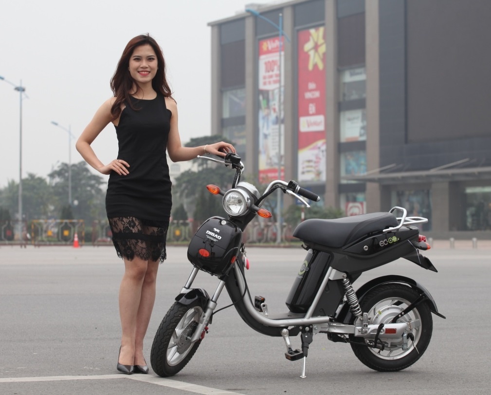 Ninja Dibao Eco - xe dap dien danh cho gioi tre hinh anh