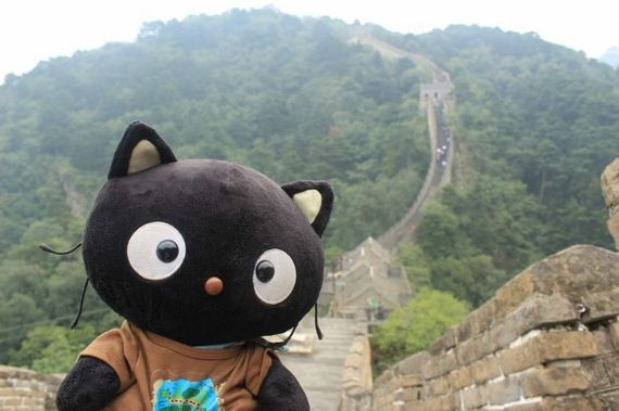 trào lưu đưa gấu bông đi khắp thế gian ảnh 1 trao luu dua gau bong di khap the gian anh 1