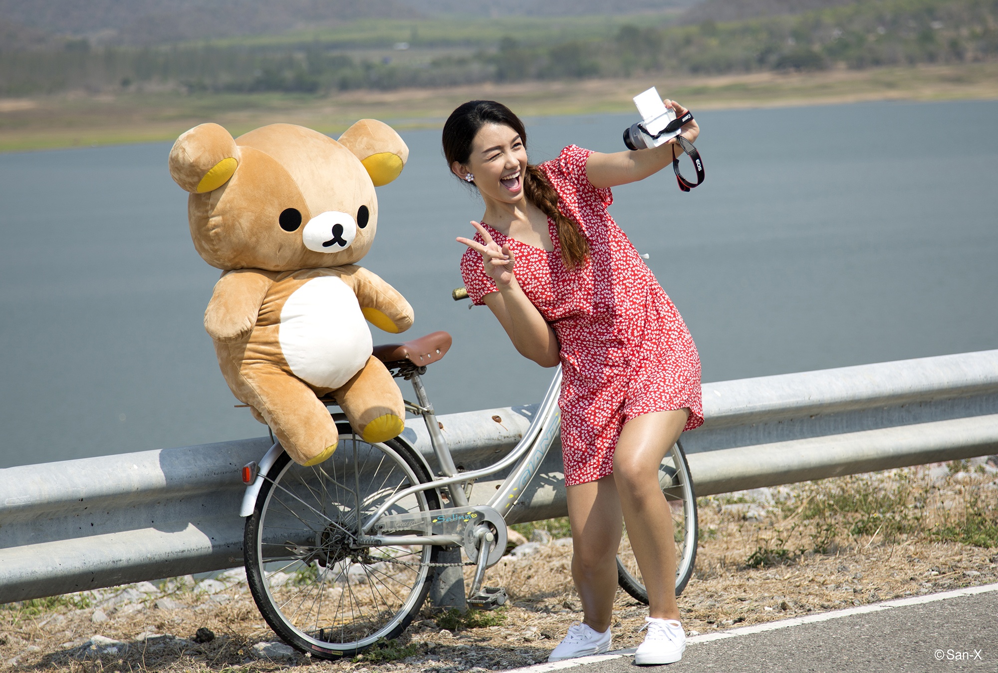 Trao luu ‘dua gau bong di khap the gian’ hinh anh