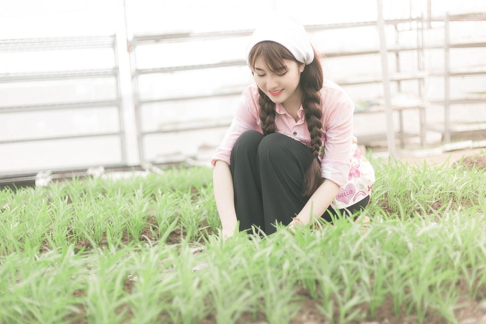 dich vu cung cap rau sach tron goi anh 4