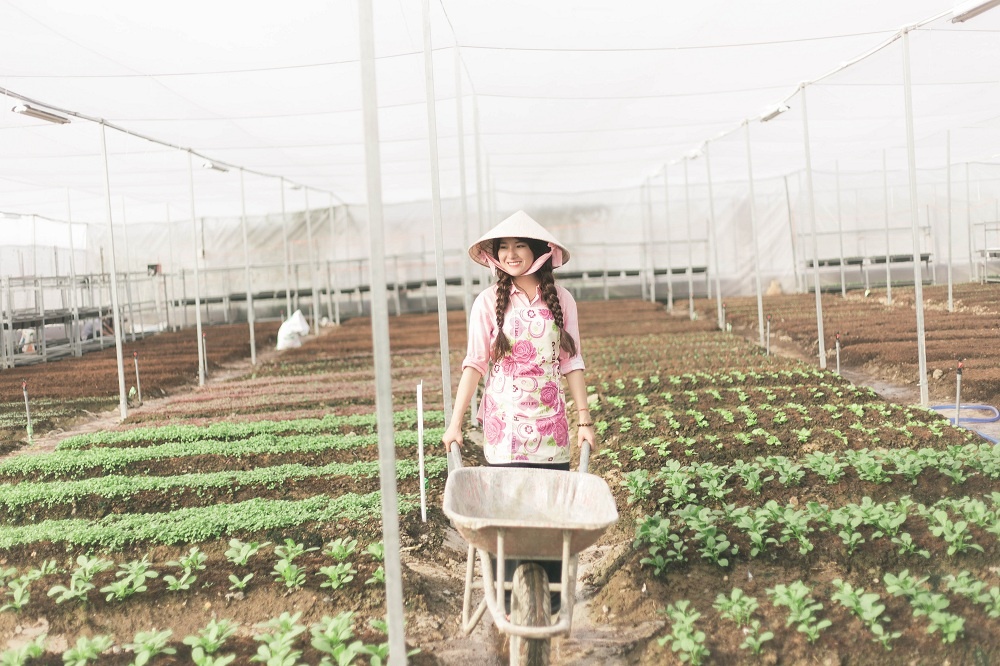 dich vu cung cap rau sach tron goi anh 2