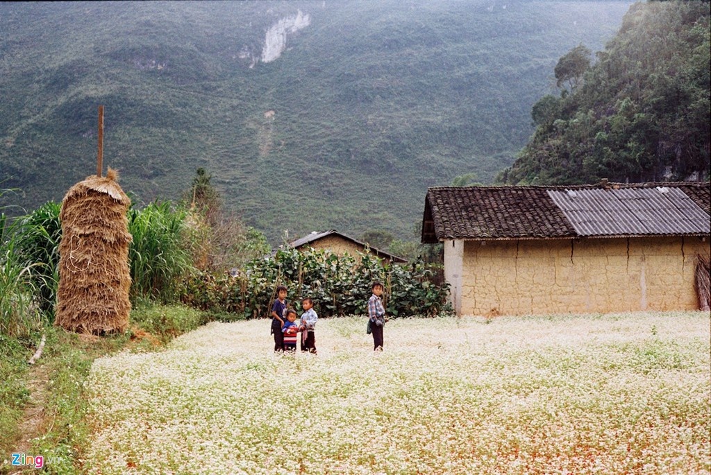 cảm hứng sống xanh giữa cao nguyên đá Hà Giang ảnh 3 cam hung song xanh giua cao nguyen da Ha Giang anh 3