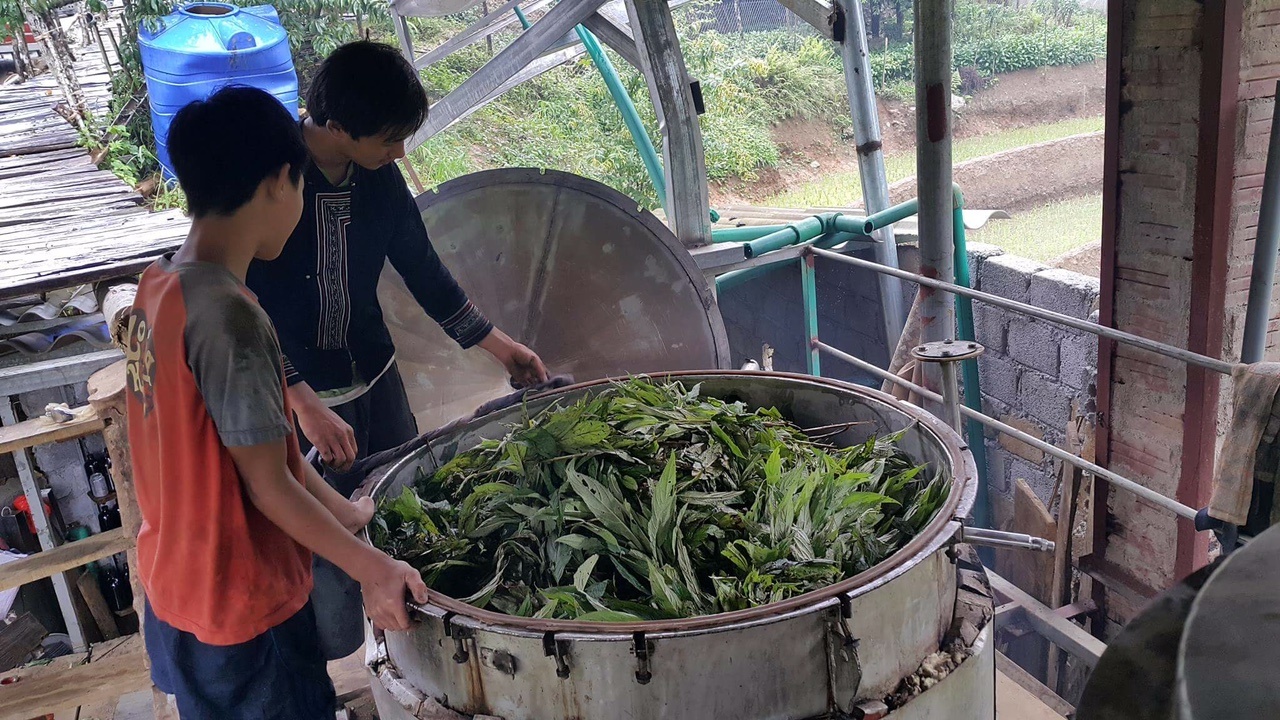 chợ phiên Hà Nội Concept Market ảnh 1 cho phien Ha Noi Concept Market anh 1
