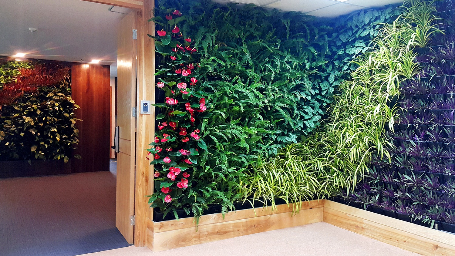 Khong gian lam viec xanh cua HVG Office anh 2