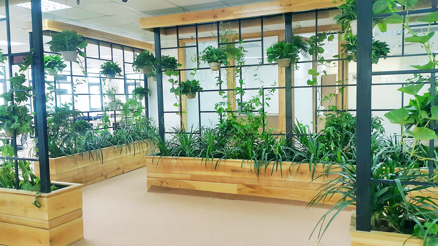 Khong gian lam viec xanh cua HVG Office anh 3