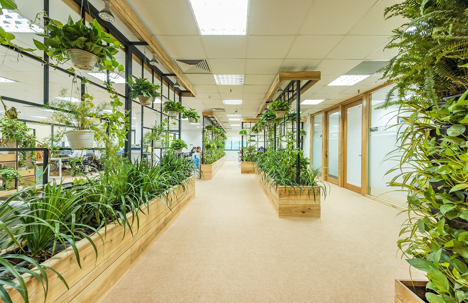 Khong gian lam viec xanh cua HVG Office anh 4