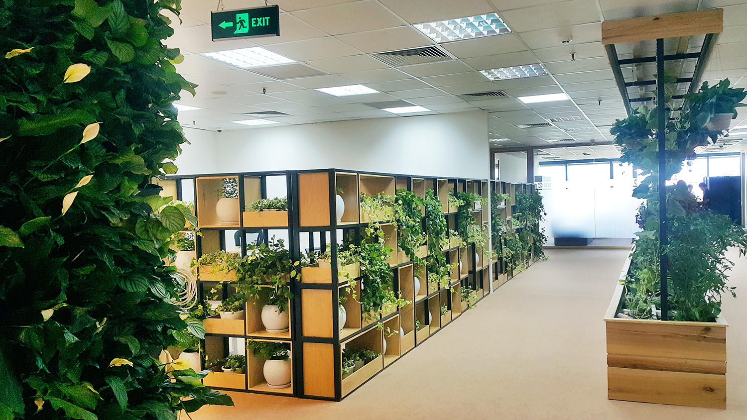 Khong gian lam viec xanh cua HVG Office hinh anh