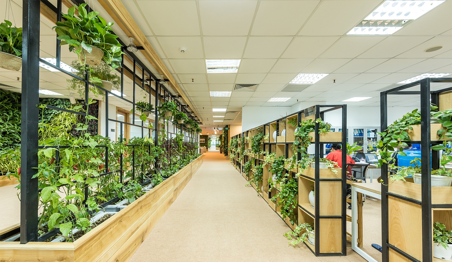 Khong gian lam viec xanh cua HVG Office anh 6