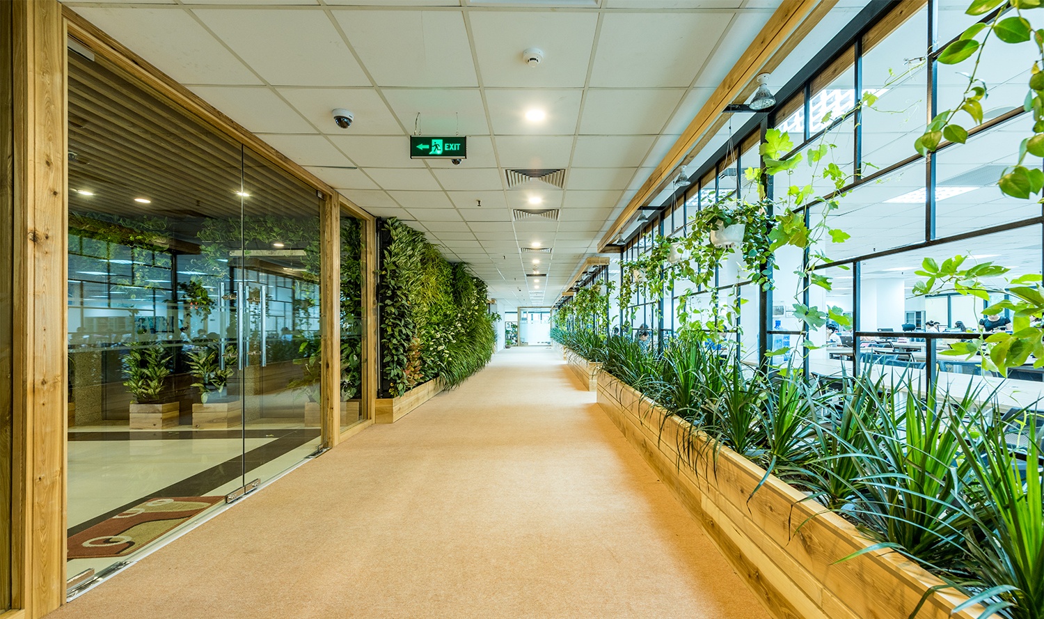 Khong gian lam viec xanh cua HVG Office anh 7