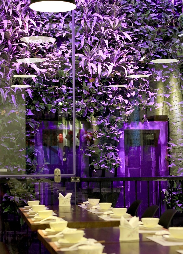 Song Anh Chicken Deli anh 8