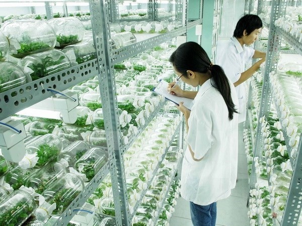 Học viện Nông nghiệp Việt Nam ảnh 2 Hoc vien Nong nghiep Viet Nam anh 2