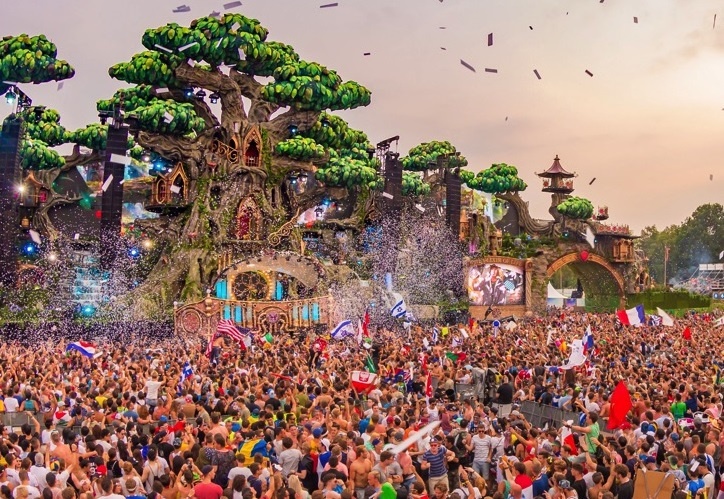 Dai dien 'Khong lui buoc Viet' het minh tai Tomorrowland hinh anh