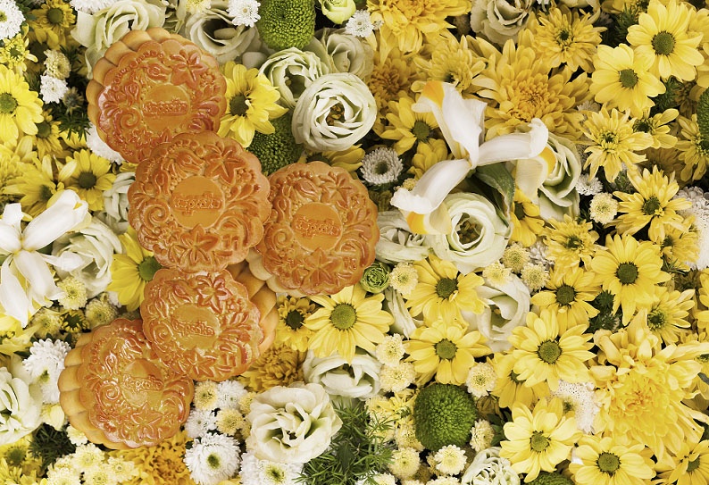 banh trung thu hinh hoa anh 5