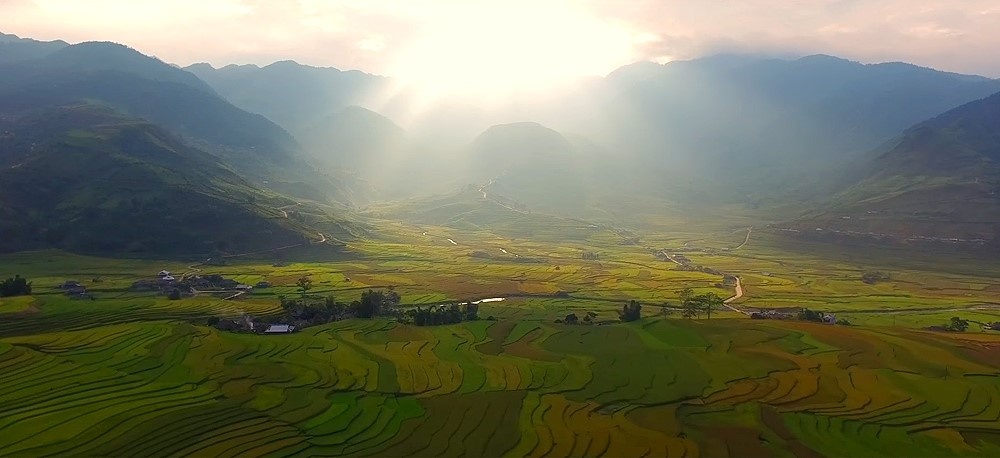 Vuon cao Viet Nam anh 3