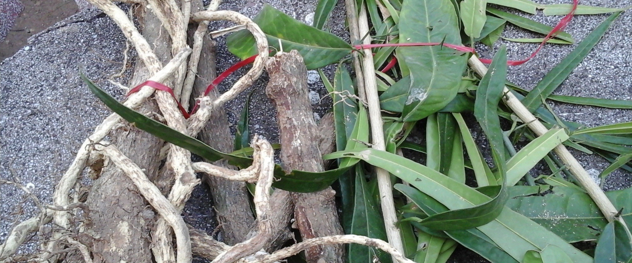 cách phân biệt xáo tam phân ảnh 2 cach phan biet xao tam phan anh 2