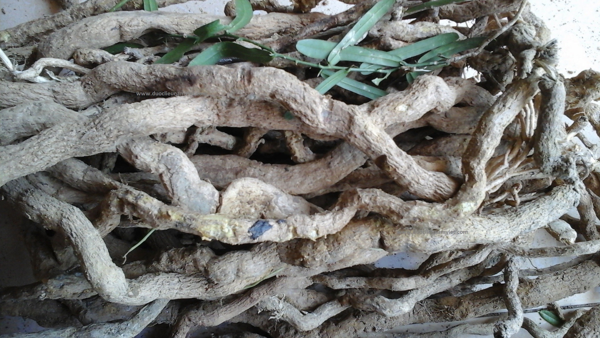 Cach nhan biet va su dung duoc lieu xao tam phan hinh anh