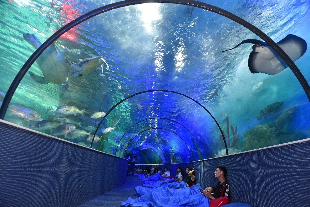 Trao luu 'ngu duoi day bien' den Viet Nam hinh anh