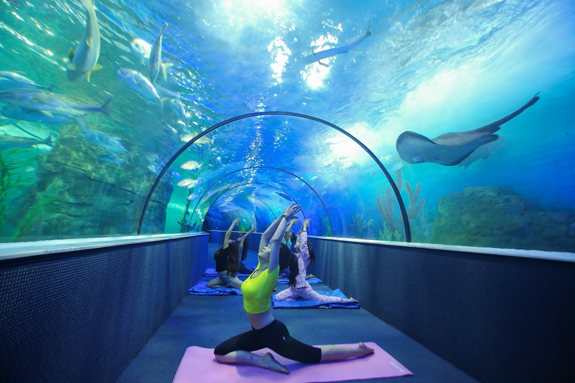 thủy cung Vinpearl Land Times City ảnh 6 thuy cung Vinpearl Land Times City anh 6