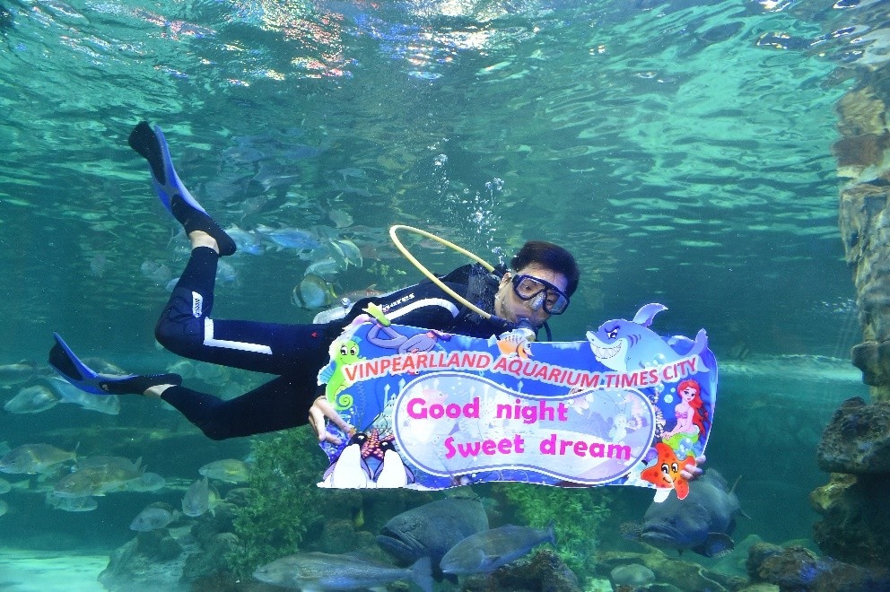 thủy cung Vinpearl Land Times City ảnh 5 thuy cung Vinpearl Land Times City anh 5