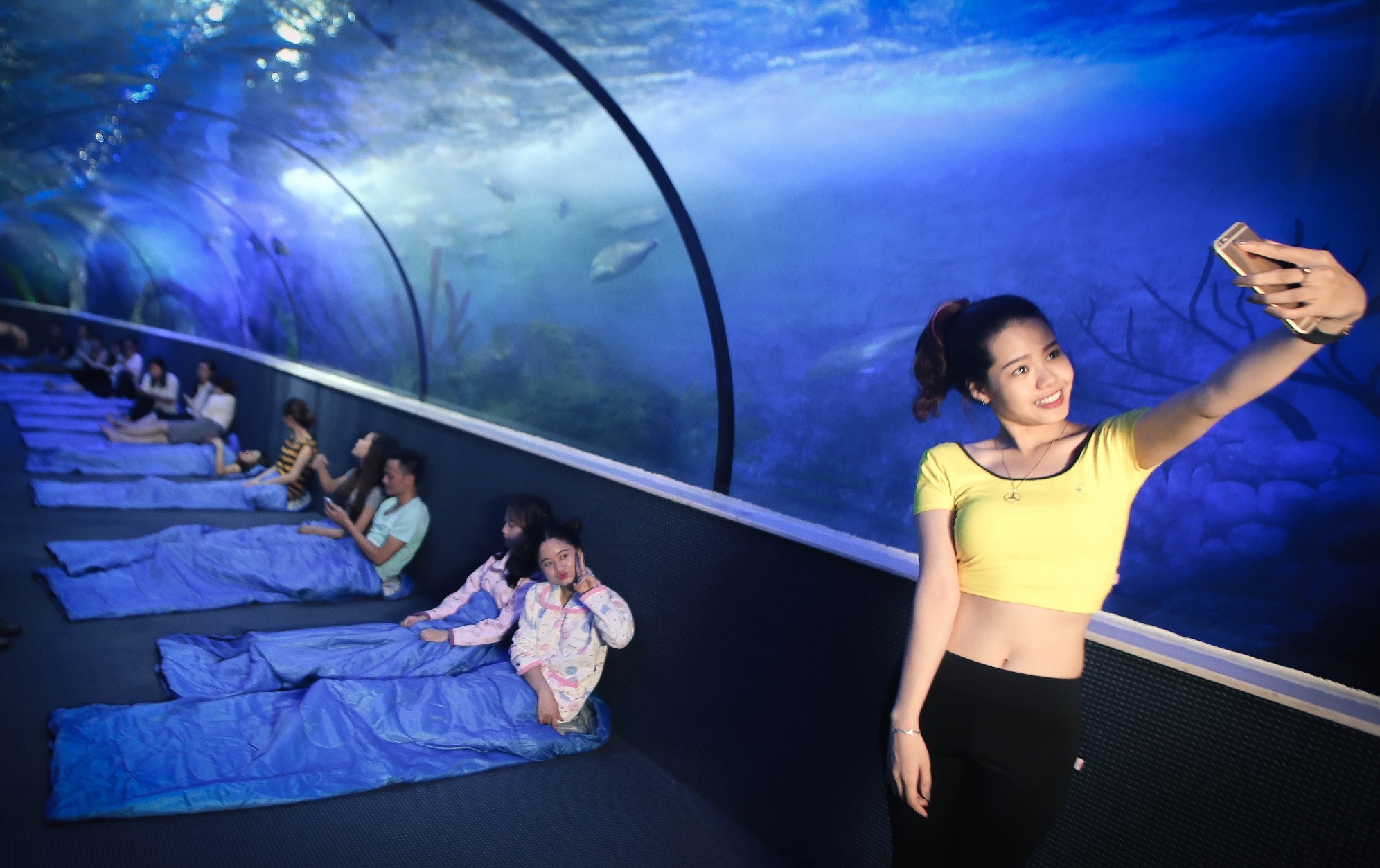 thủy cung Vinpearl Land Times City ảnh 8 thuy cung Vinpearl Land Times City anh 8