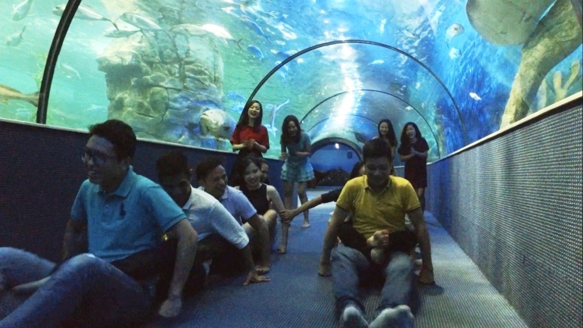 thủy cung Vinpearl Land Times City ảnh 9 thuy cung Vinpearl Land Times City anh 9