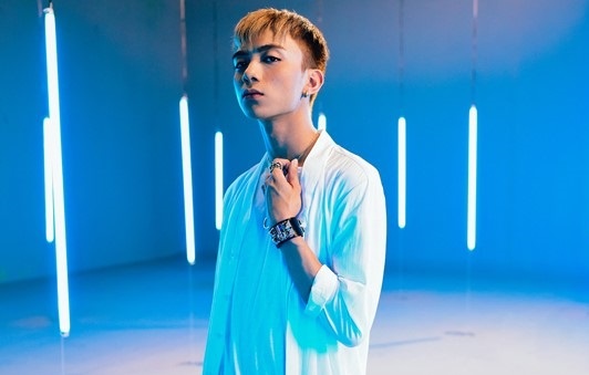 Sao Viet phan khich voi hang nghin ban cover tu fan hinh anh