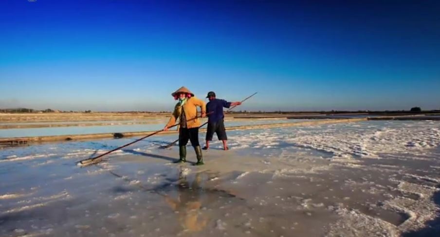 Vuon cao Viet Nam anh 1