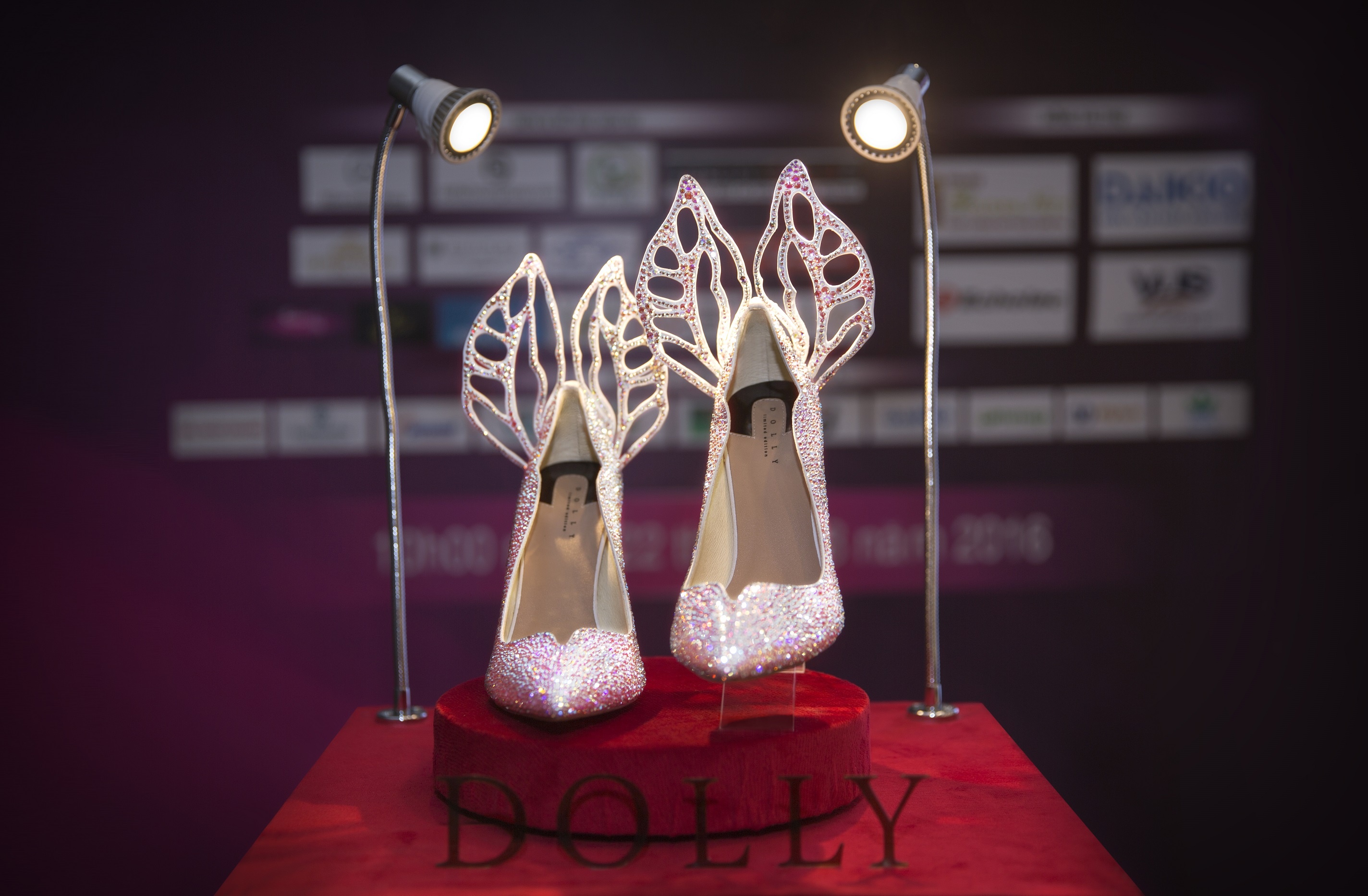 Can canh doi giay gan da quy danh cho tan Hoa hau Viet Nam hinh anh