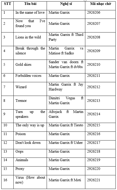 Martin Garrix by VinaPhone anh 3