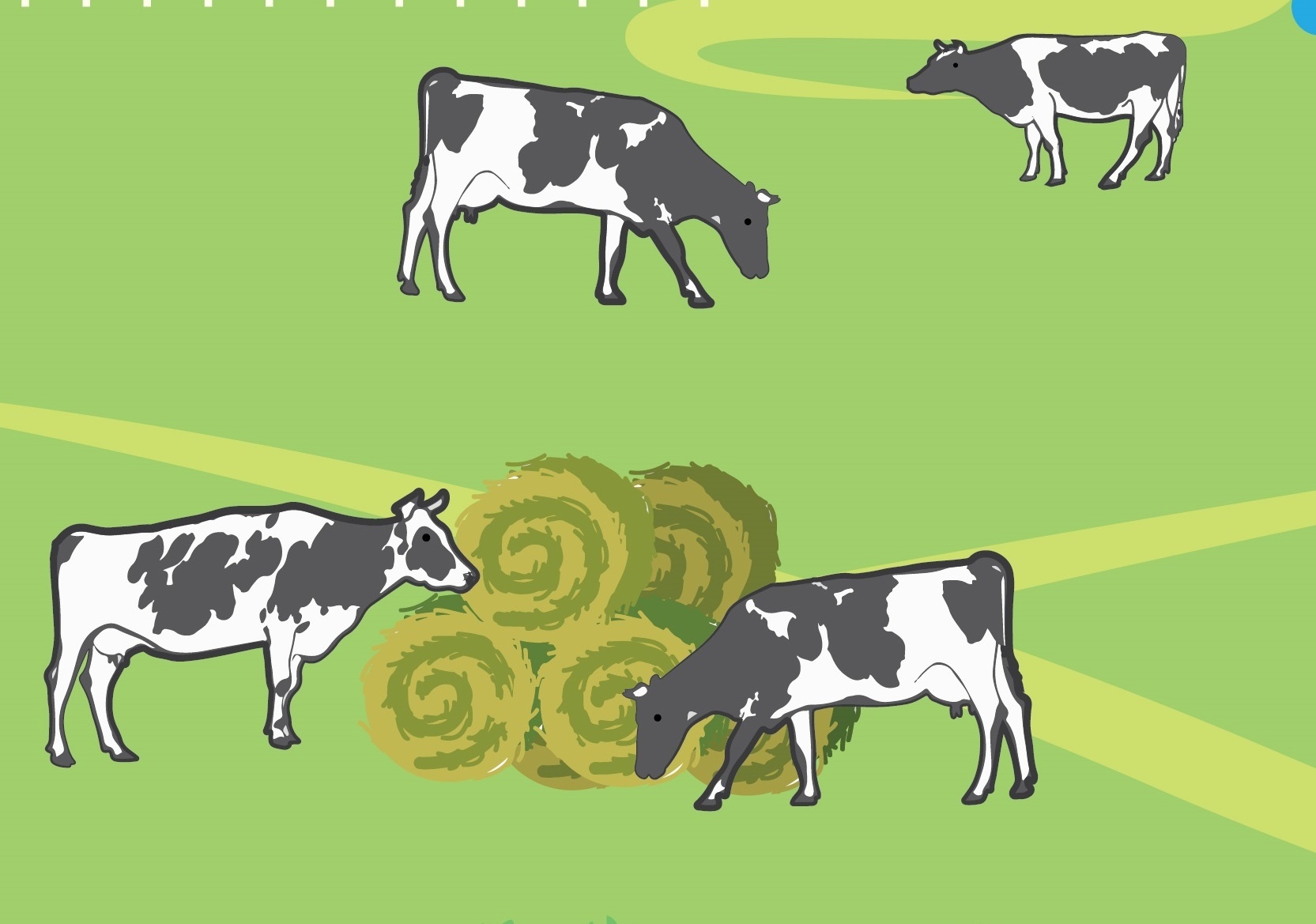 Cuoc song '5 khong' cua dan bo sua thung lung Goulburn hinh anh