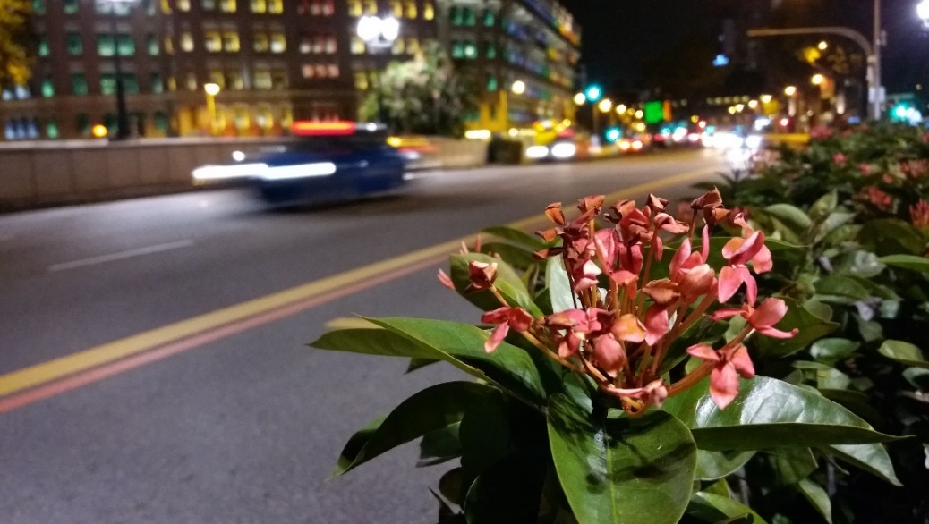 Galaxy A (2016) ảnh 2 Galaxy A (2016) anh 2