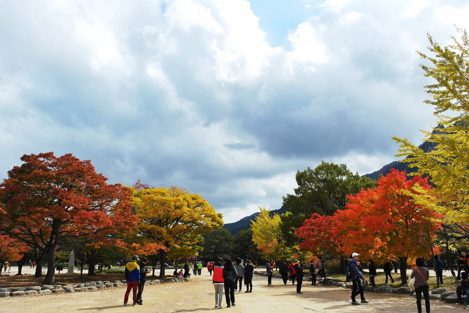 Vietravel,  du lich mua thu anh 2