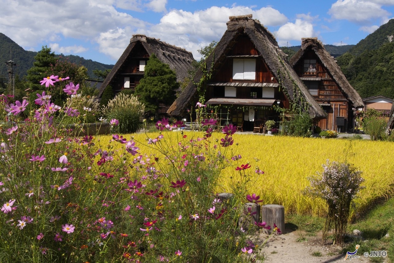 Gifu,  du lịch Nhật Bản  ảnh 2 Gifu,  du lich Nhat Ban anh 2